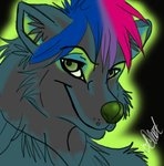 Silverwolf mon avatar