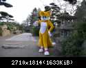 2004 Tails